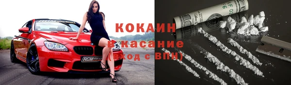 стаф Осинники