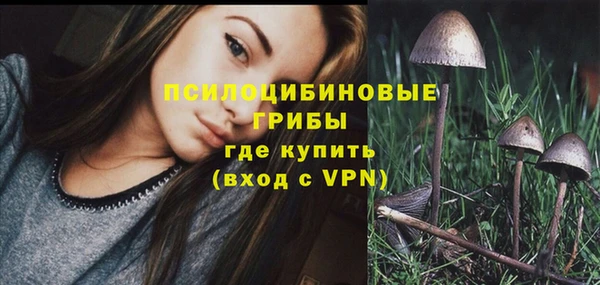 Альфа ПВП Балабаново