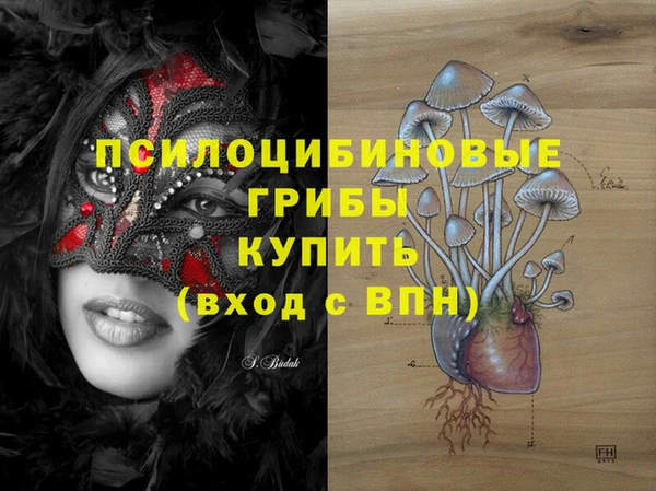 дурь Балахна